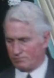  Raymond Pierson dans Les palmiers du mtropolitain
